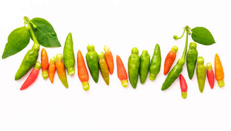 Fresh Thai bird's eye chillies isolated on white background.の写真素材
