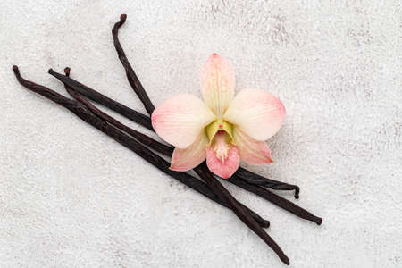 Dried vanilla sticks and orchid flower set up on white concrete background.の写真素材