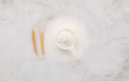 The ingredients for homemade pizza dough with wheat ears ,wheat flour and olive oil set up on white concrete background. top view and copy space.の写真素材