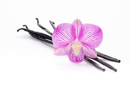 Dried vanilla sticks and orchid flower isolated on white background.の写真素材