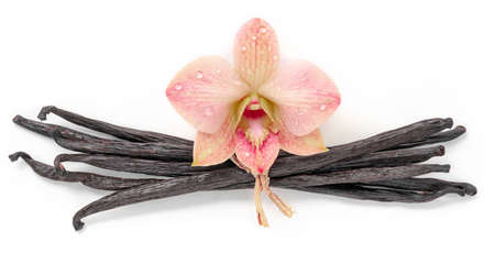 Dried vanilla sticks and orchid flower isolated on white background.の写真素材