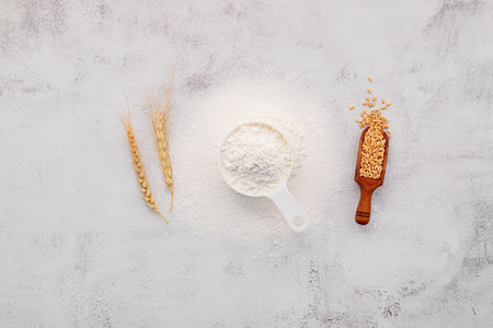The ingredients for homemade pizza dough with wheat ears ,wheat flour and wheat grains set up on white concrete background.の写真素材