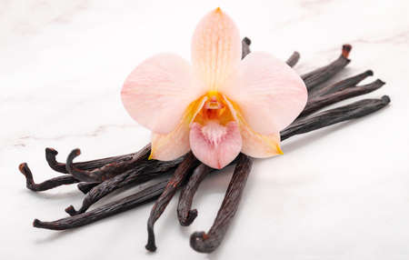 Dried vanilla sticks and orchid flower set up on marble background.の写真素材