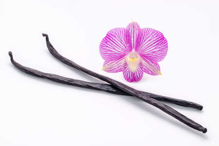Dried Vanilla sticks isolated on white backgrounds.の写真素材