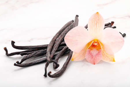 Dried vanilla sticks and orchid flower set up on marble background.の写真素材