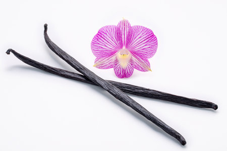 Dried vanilla sticks and orchid flower isolated on white background.