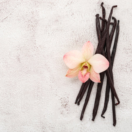 Dried vanilla sticks and orchid flower set up on white concrete background.