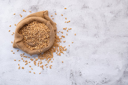 Wheat ears and wheat grains set up on white stone background.の写真素材