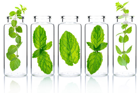 Bottles of essential oil with mint isolated on white background.の写真素材