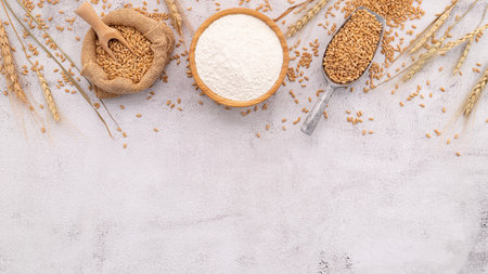 Wheat grains and white wheat flour in wooden bowl set up on white concrete background.の写真素材