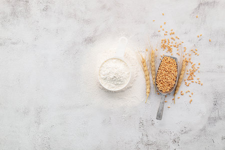 Wheat grains and white wheat flour in measure bowl set up on white concrete background.の写真素材