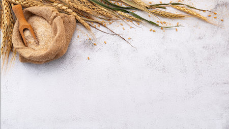 Wheat ears and wheat grains set up on white stone background.の写真素材