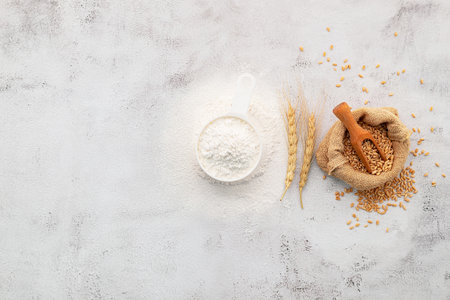Wheat grains and white wheat flour in measure bowl set up on white concrete background.の写真素材
