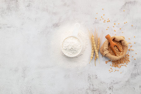 Wheat grains and white wheat flour in measure bowl set up on white concrete background.の写真素材