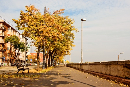 autumn alleyの写真素材
