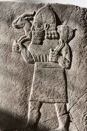 Persian with ibexの写真素材