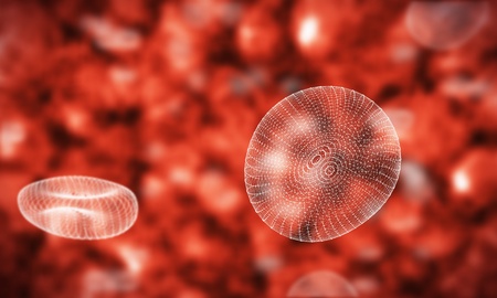 framework of blood cells in veinの写真素材