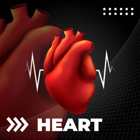 Human Heart Anatomy. Medical anatomical cardiology templateのイラスト素材