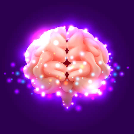 The image of the human brainのイラスト素材