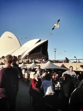 Opera bar at Sydney Opera Houseの素材