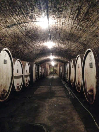Wine barrels in underground cellar at tahbilk wineryの素材