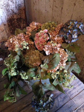 Vase of faded hydrangeasの素材