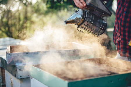 Beekeeper smoking beehives with smoke potの写真素材