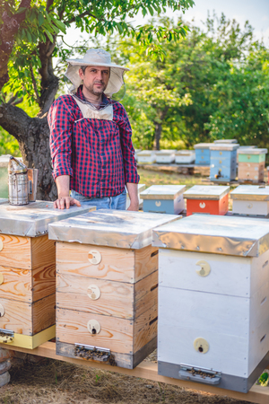 Beekeeper standing behind beehives looking at camera