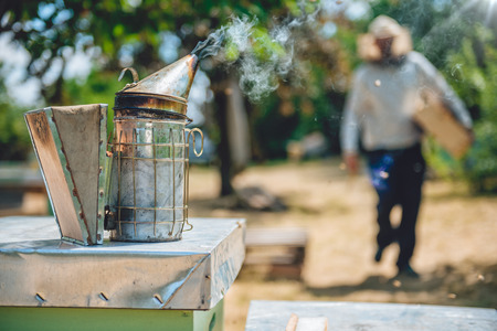 Beekeeper smoking pot standing on the hivesの写真素材