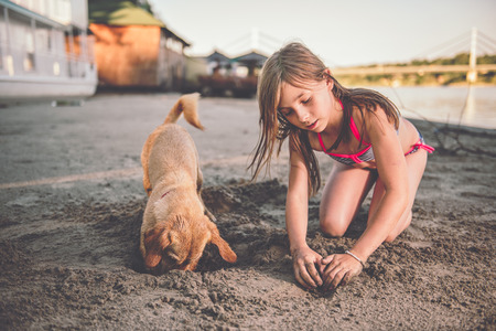 Girl and her small yellow dog digging in the sand on the beachの写真素材