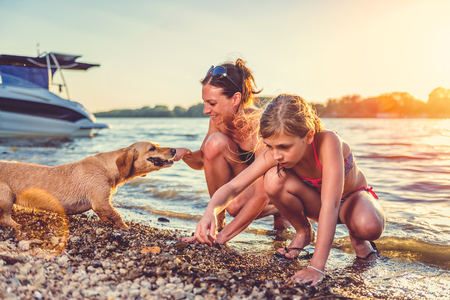 Mother, daughter and small yellow dog enjoying on the beachの写真素材