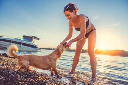 Woman and her dog playing on the beachの写真素材