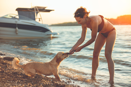 Woman and her dog playing on the beachの写真素材