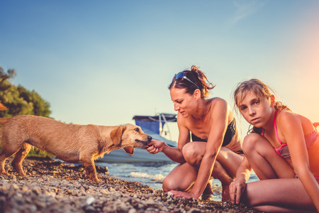 Mother, daughter and small yellow dog enjoying on the beachの写真素材