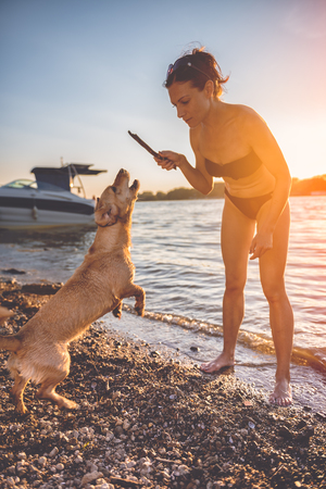 Woman and her dog playing on the beachの写真素材