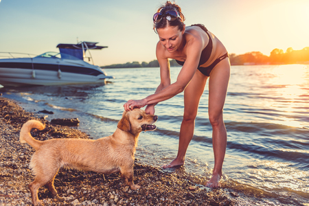 Woman and her dog playing on the beachの写真素材