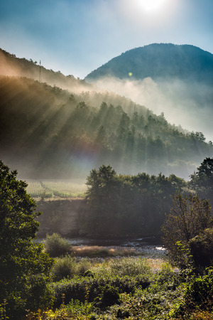 Mountains and morning fog over the forestの写真素材