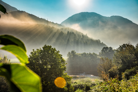 Mountains and morning fog over the forestの写真素材