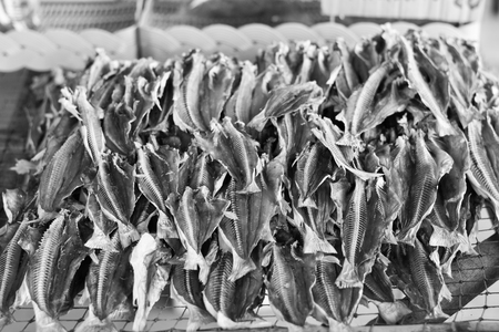 Dried fish on the grill to sell in the marketの写真素材
