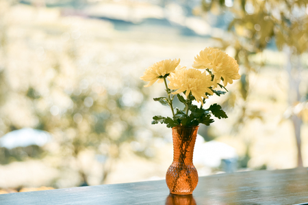 Still life with yellow spring flowersの写真素材