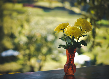 Still life with yellow spring flowersの写真素材