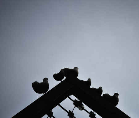 Birds made of cementの写真素材