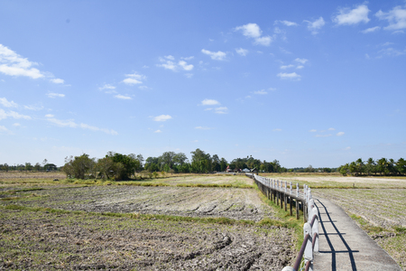 Walkway near to the Rice terraceの写真素材
