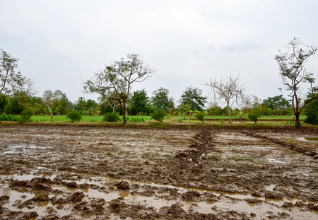plowed field landscapeの写真素材
