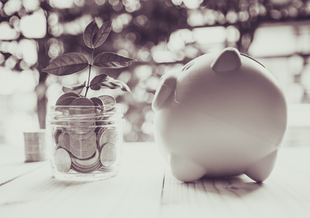 saving coins for investment concept business and financeの写真素材