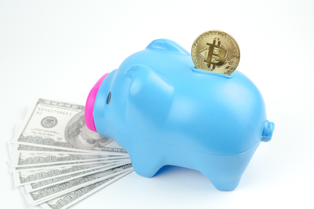 Bitcoin on blue piggy bank as crypto digital banking or cyber savings concept.の写真素材
