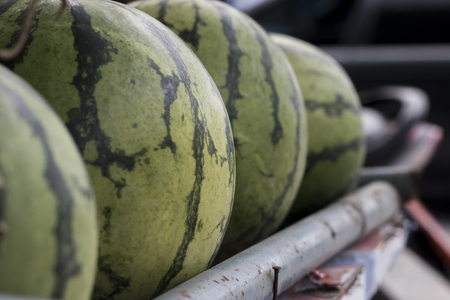 Watermelon is show on sell.の写真素材