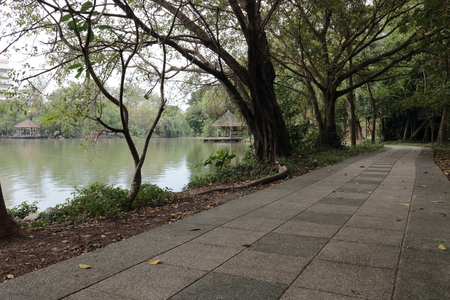 Walking road on public parkの写真素材