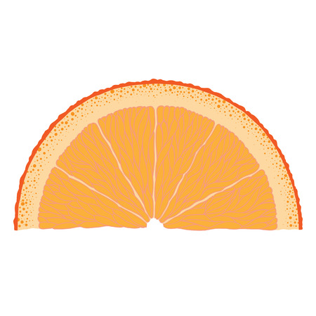 Hand-drawn image of orange slice.のイラスト素材