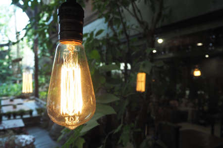 Vintage bulb and leaf behind